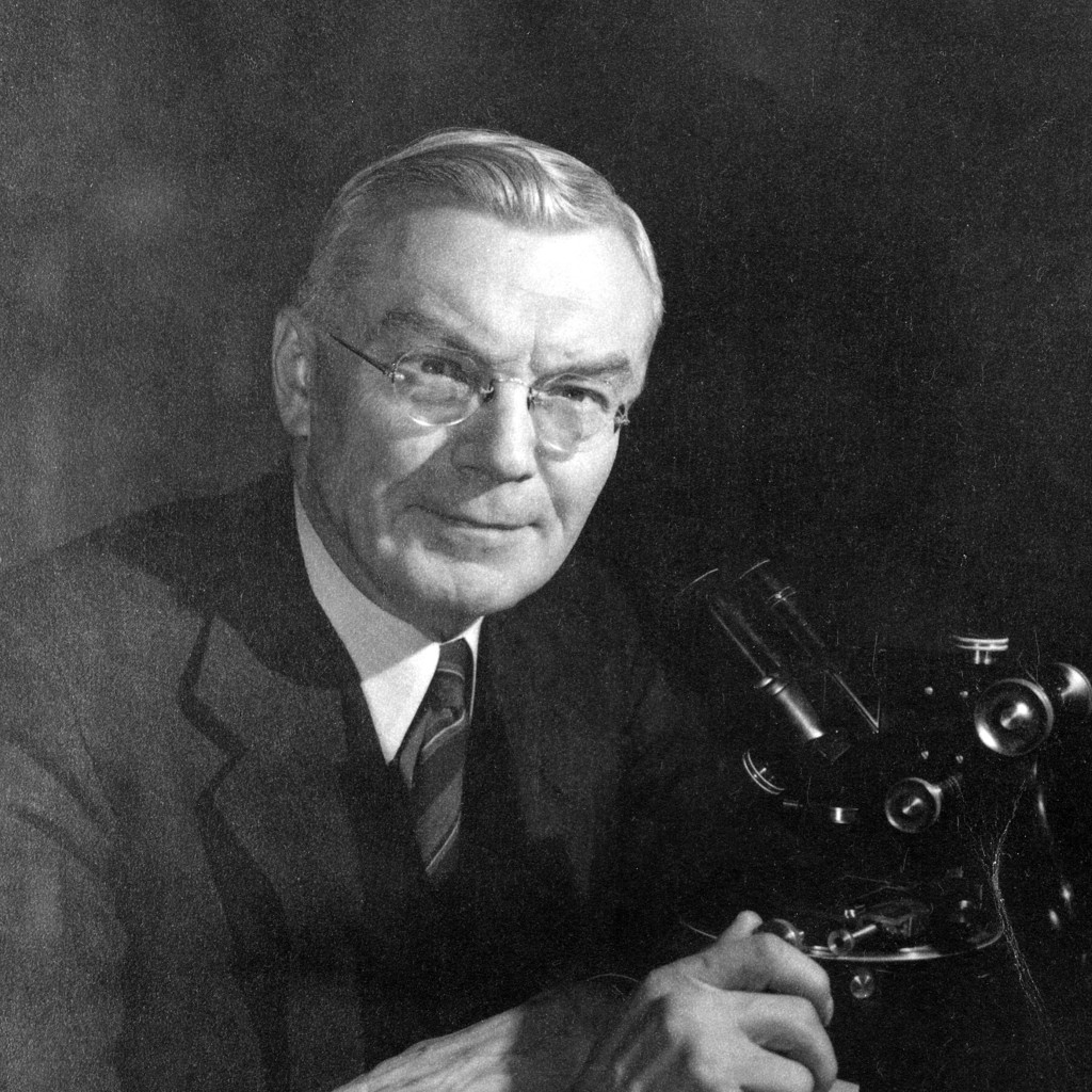 Wilbur Bramley Rayton